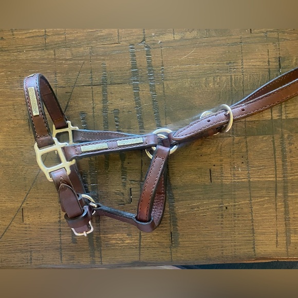 Vintage horse show halter (leather with sterling silver accents). Weanling size - Picture 3 of 12